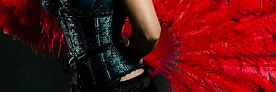 Insegnante Show Dance