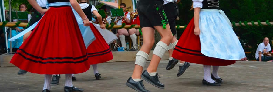 Insegnante Danze Popolari e di Carattere